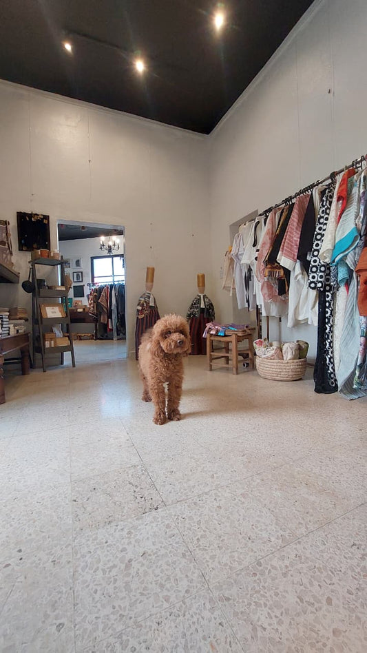 Why We Must Rethink How We Value Local Arts and Culture in Lebanon