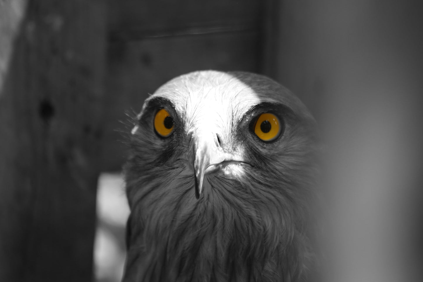 Al Ajni7ah al Moutakassirah - III