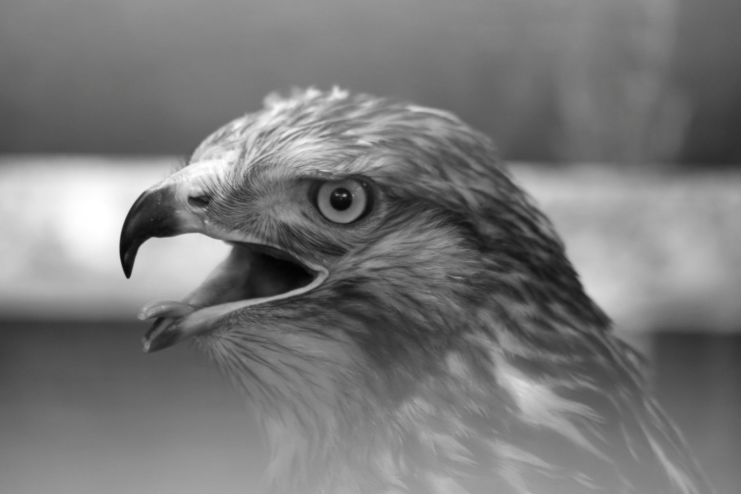 Al Ajni7ah al Moutakassirah - II