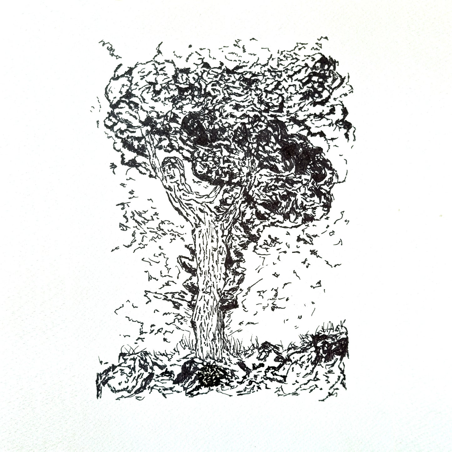 Bey-Root: Hors Sens, Hors Temps