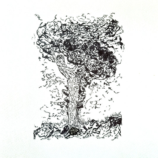 Bey-Root: Hors Sens, Hors Temps