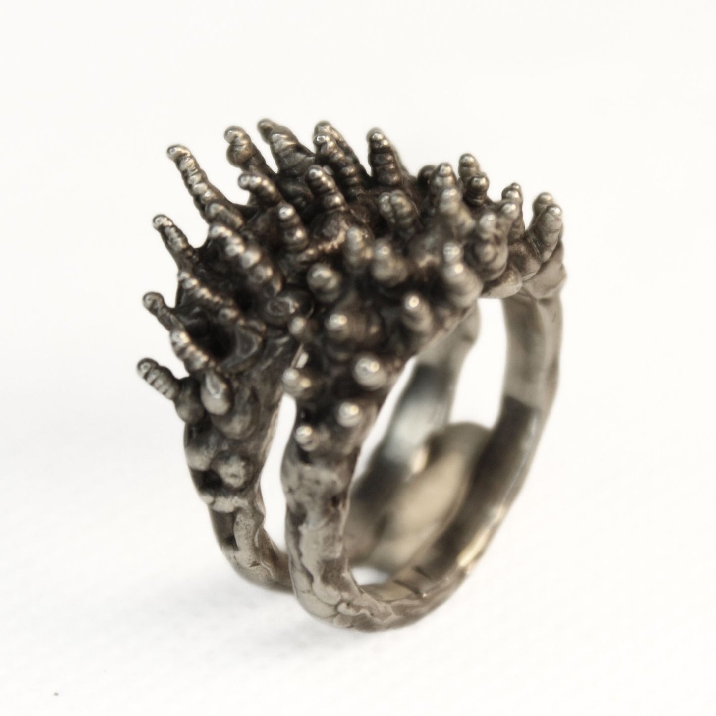 Ring - from Diary Entry 1162