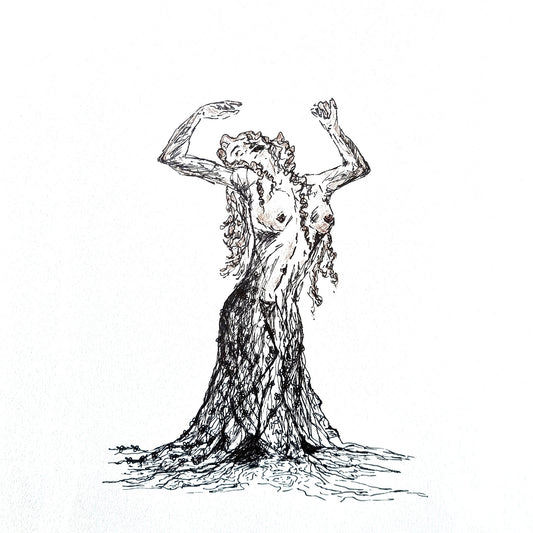 Ascension: A Process of Liberation and Growth